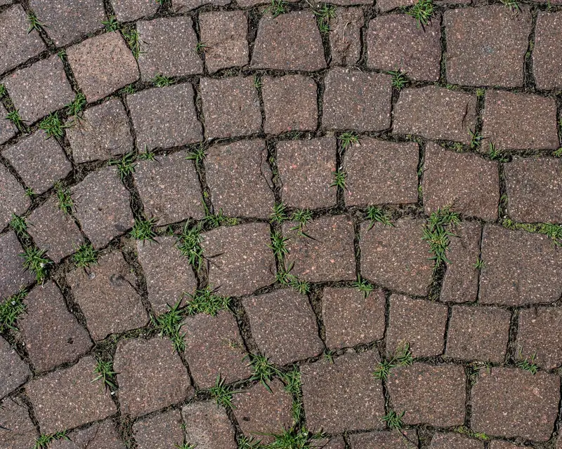 Układanie kostki brukowej: nawierzchnia z kostki kamiennej, zbliżenie